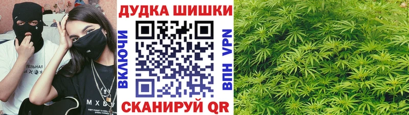 Конопля SATIVA & INDICA  Козельск 